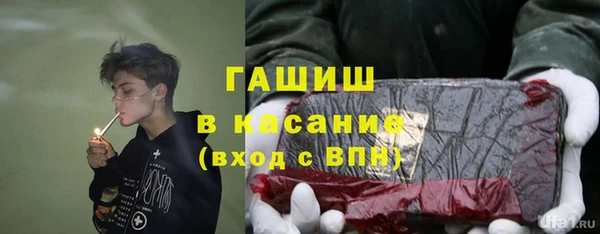 стаф Балахна