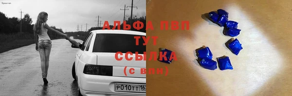 стаф Балахна