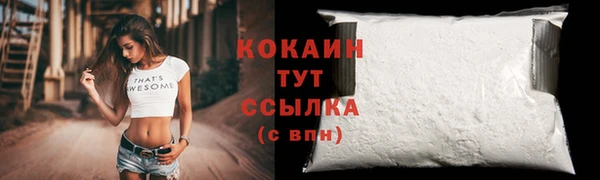 стаф Балахна