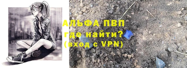 стаф Балахна