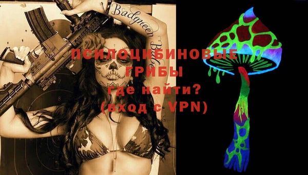 стаф Балахна