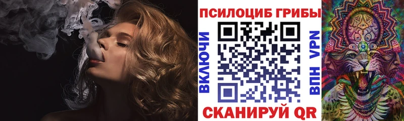 Купить закладки  Баксан  Галлюциногенные грибы мицелий 